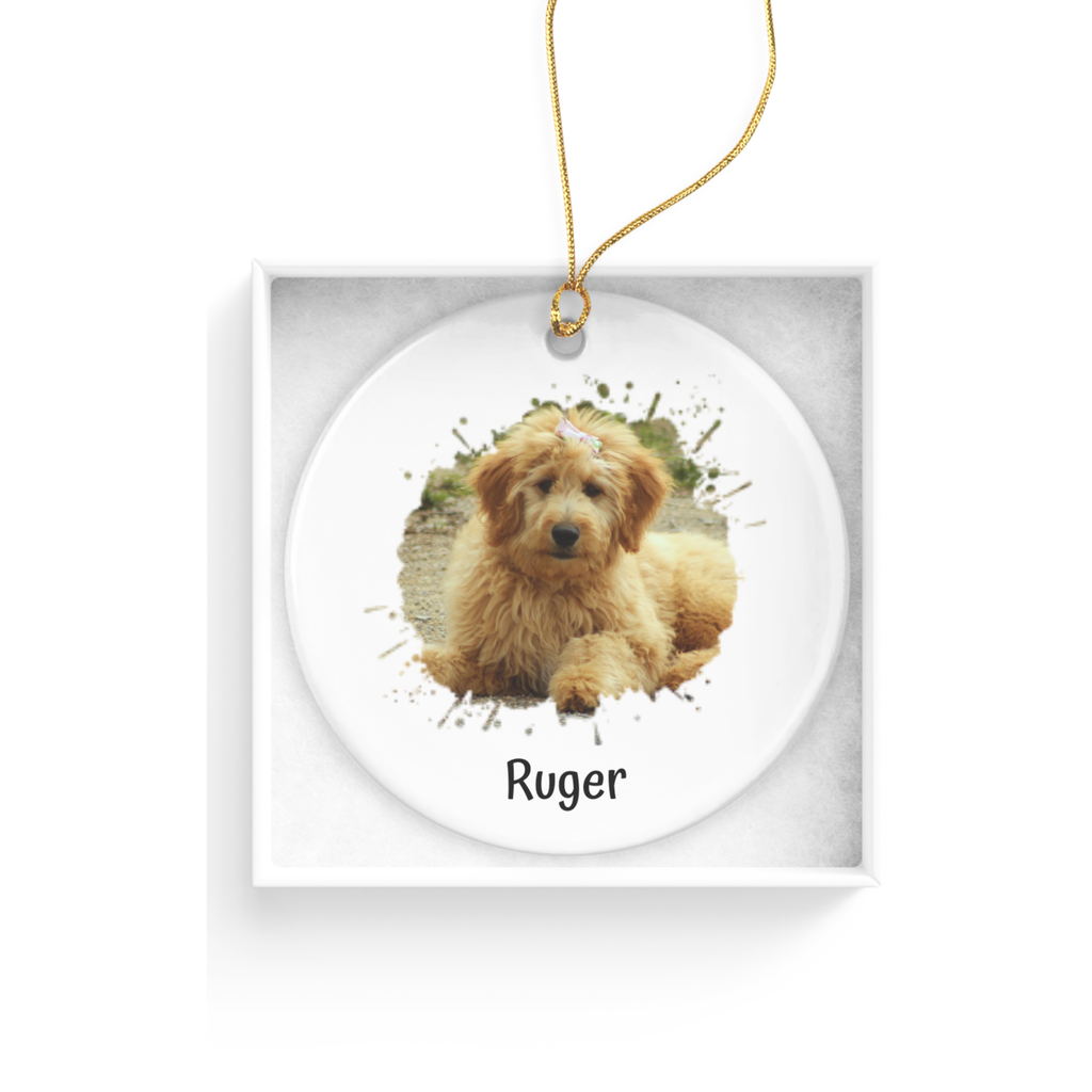 Custom Pet Photo Splash Christmas Ornament