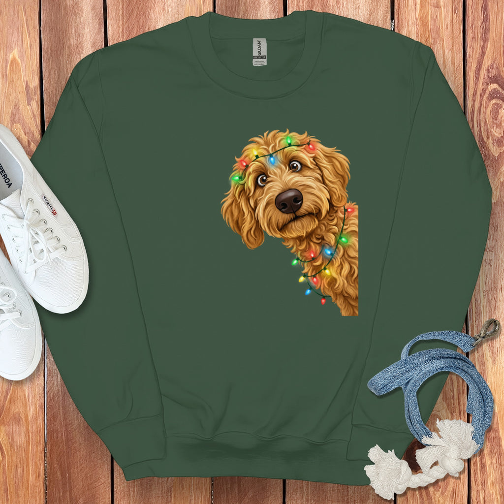 Green sweatshirt with a curious dog wearing colorful Christmas lights.
