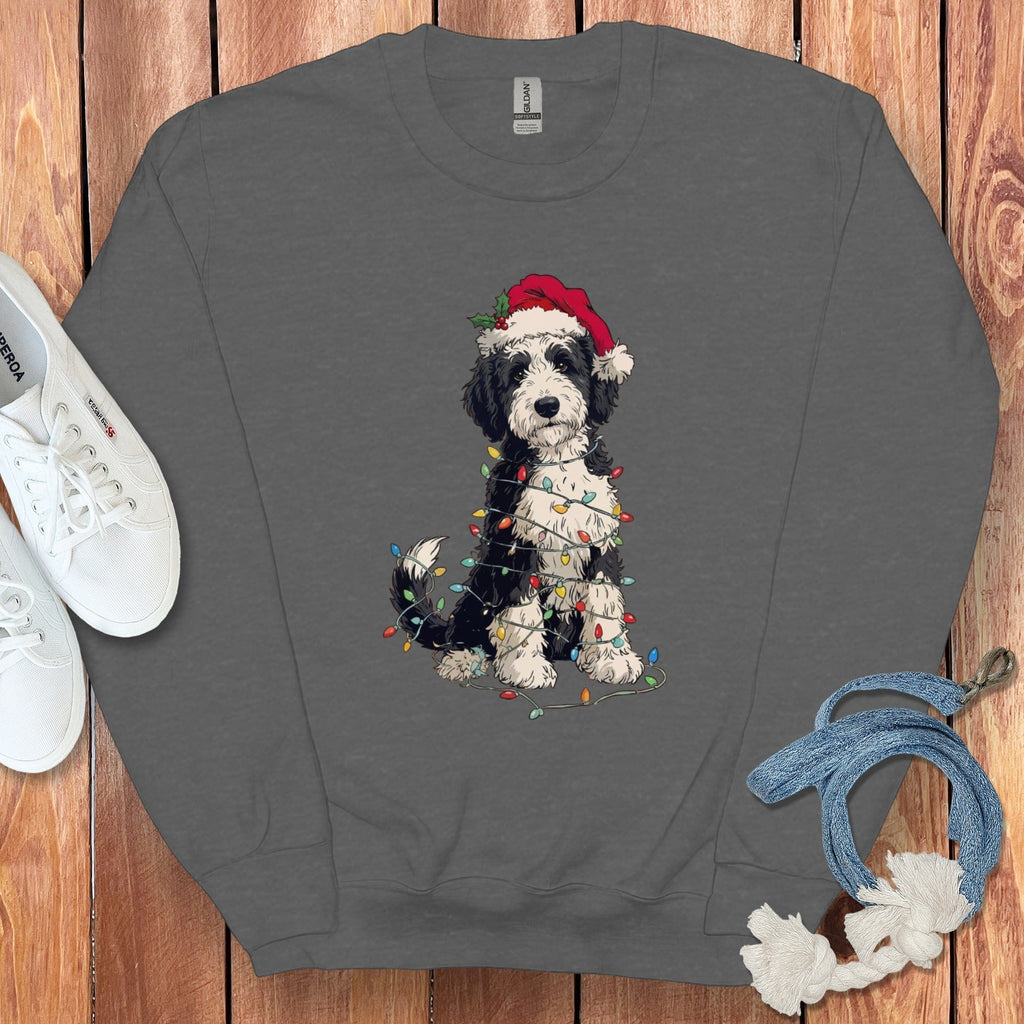 Christmas Dog Wrapped in Lights Sweatshirt