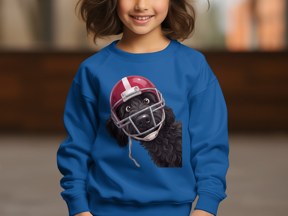 Black curly dog in a red football helmet on a blue sweatshirt