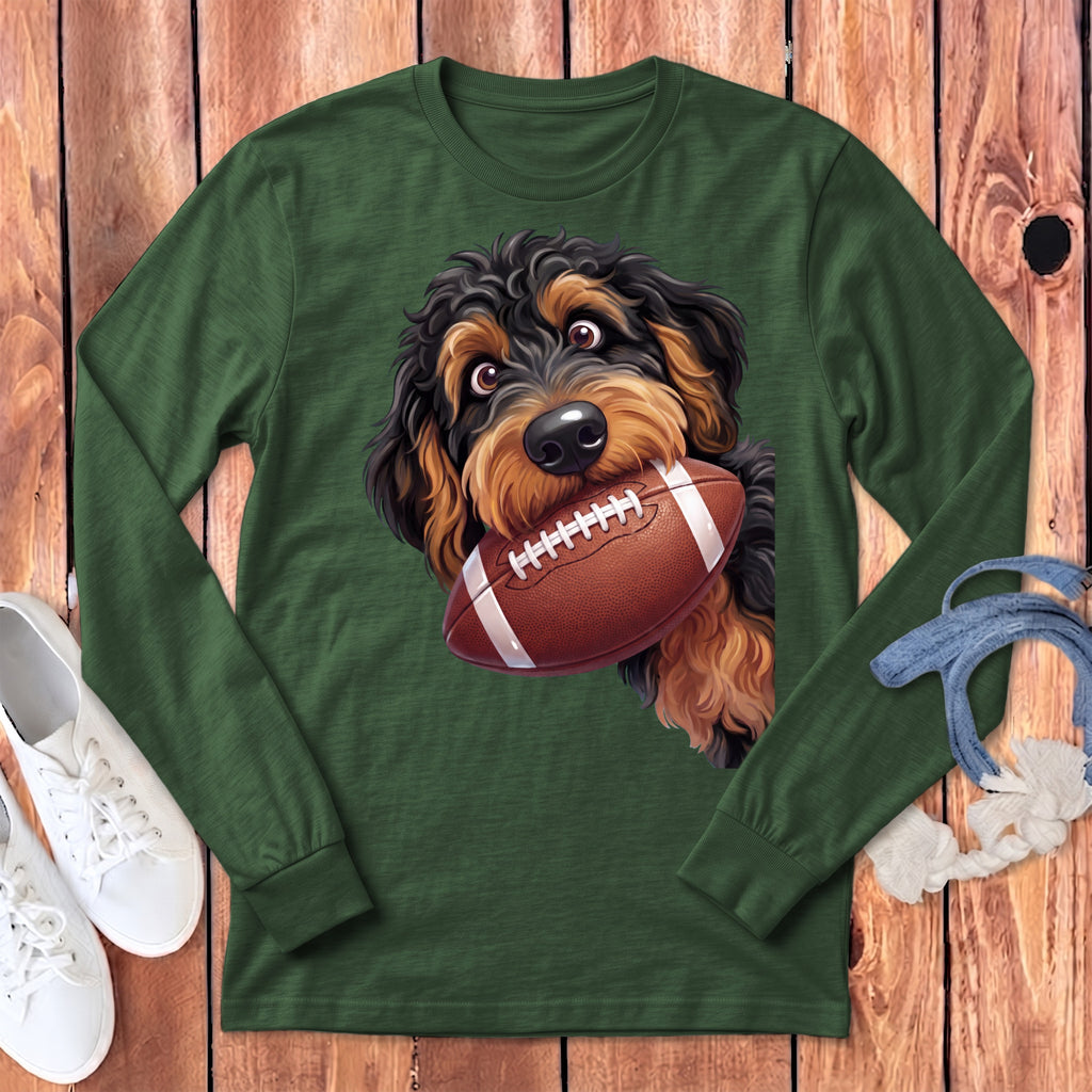 Doodle dog in green long-sleeve shirt holds a football in its mouth.