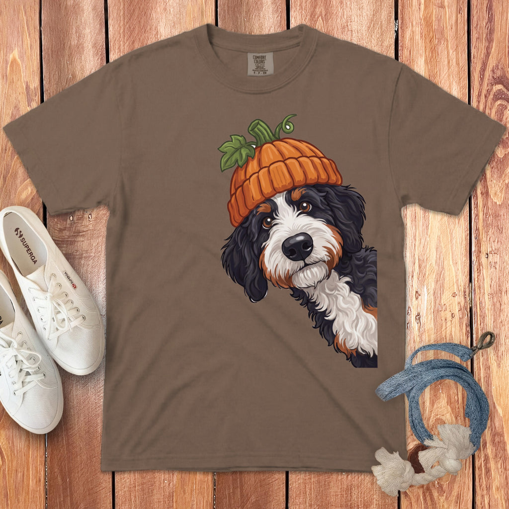 Bernese mountain dog wearing a pumpkin hat on a brown t-shirt.