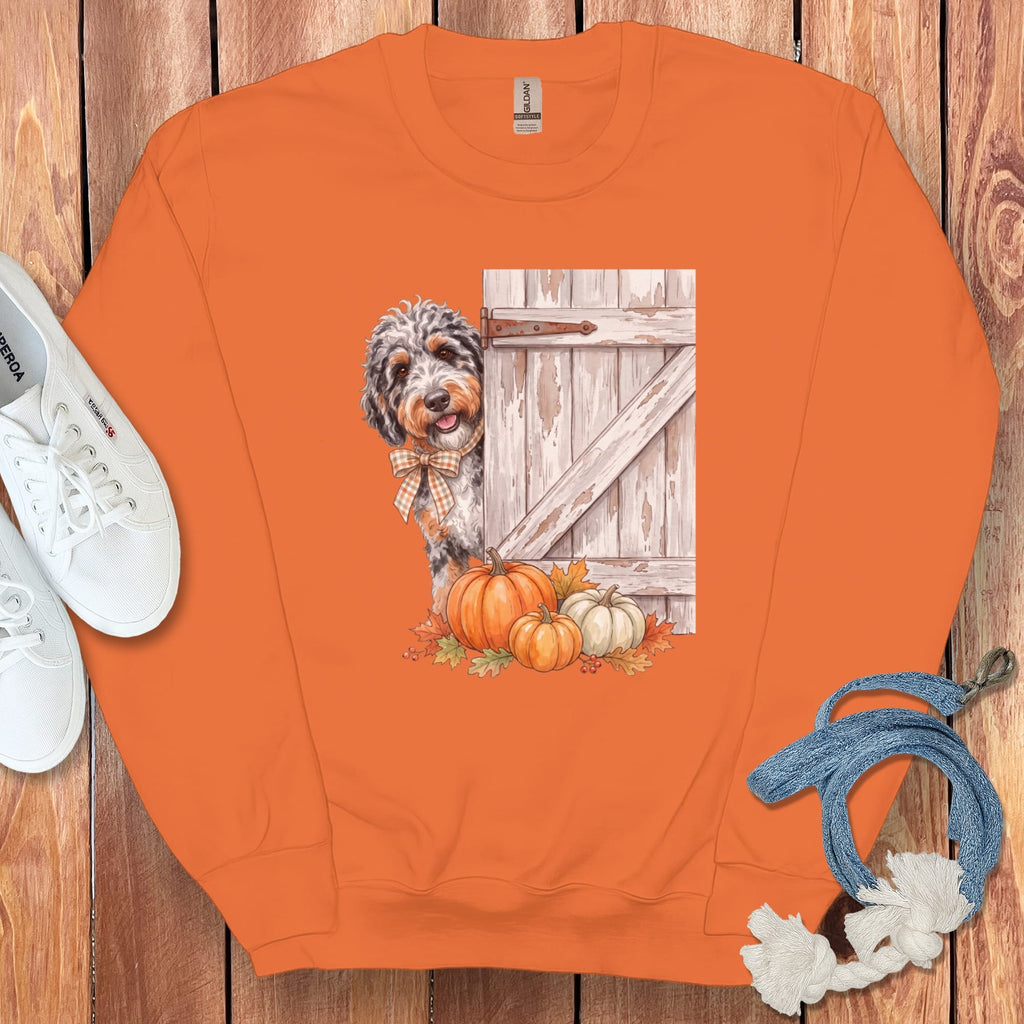 Aussiedoodle Barn Peeking Sweatshirt in Orange / S by Puppy Jo