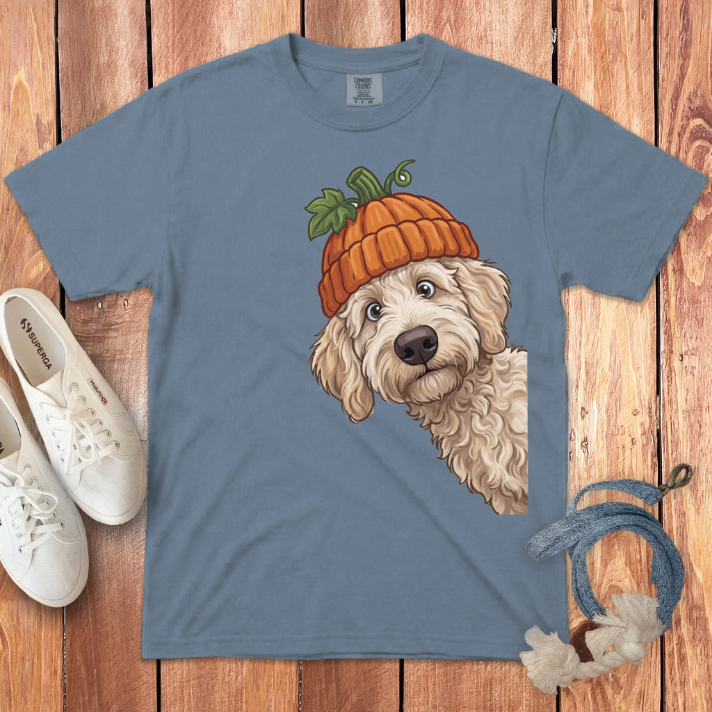 Fluffy dog wearing a pumpkin hat peeking from the side.