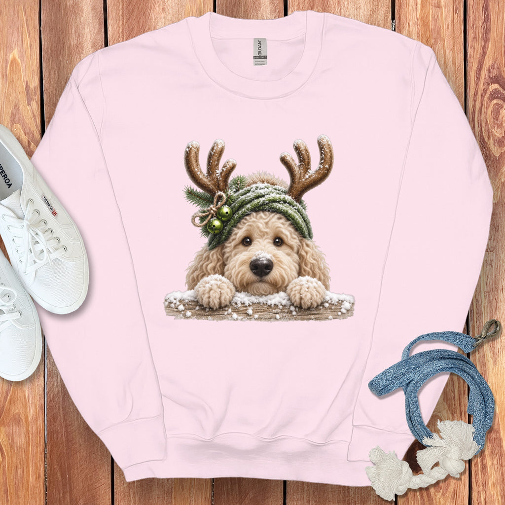 Pink sweatshirt with a fluffy dog wearing reindeer antlers and a green hat.