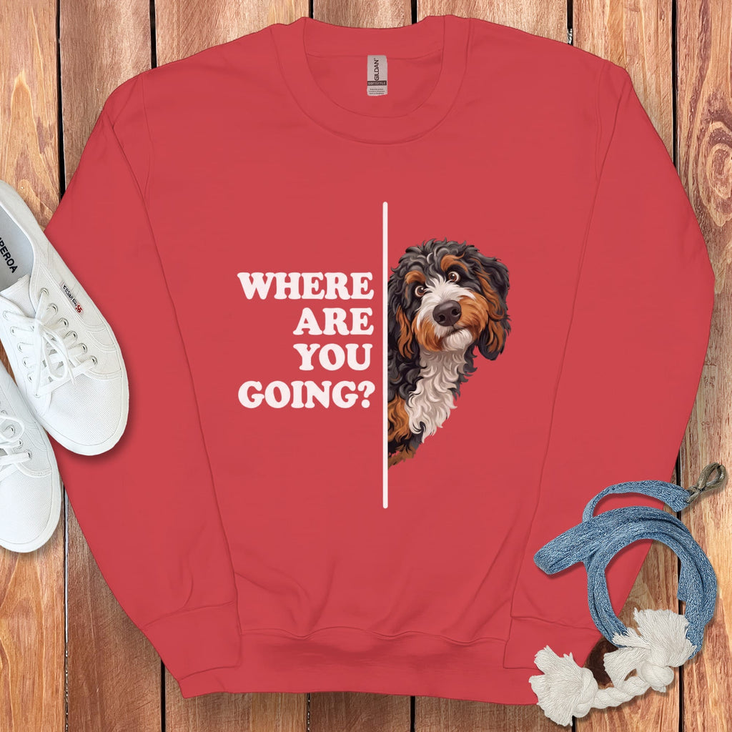Where Going Bernedoodle Sweatshirt in Red / S by Puppy Jo