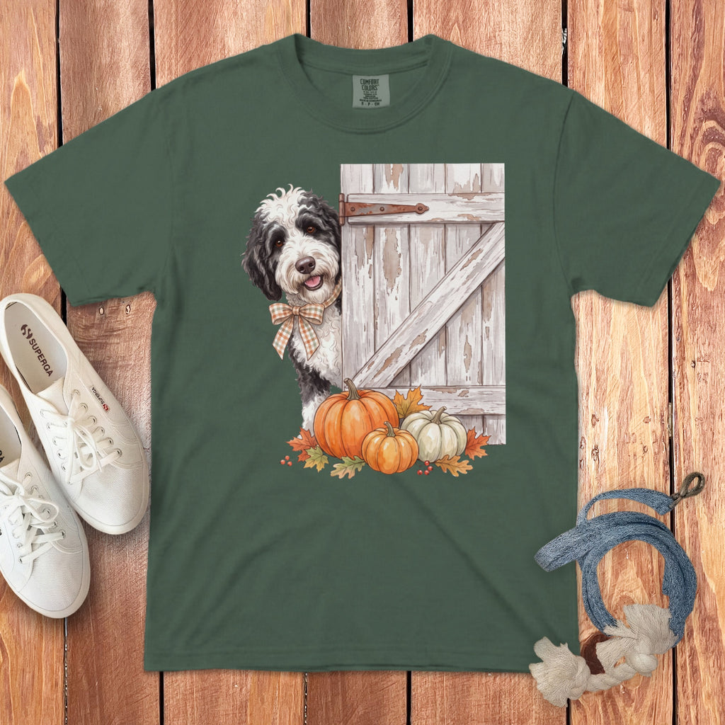 T-shirt graphic of a dog peeking from behind a barn door with pumpkins and fall leaves.