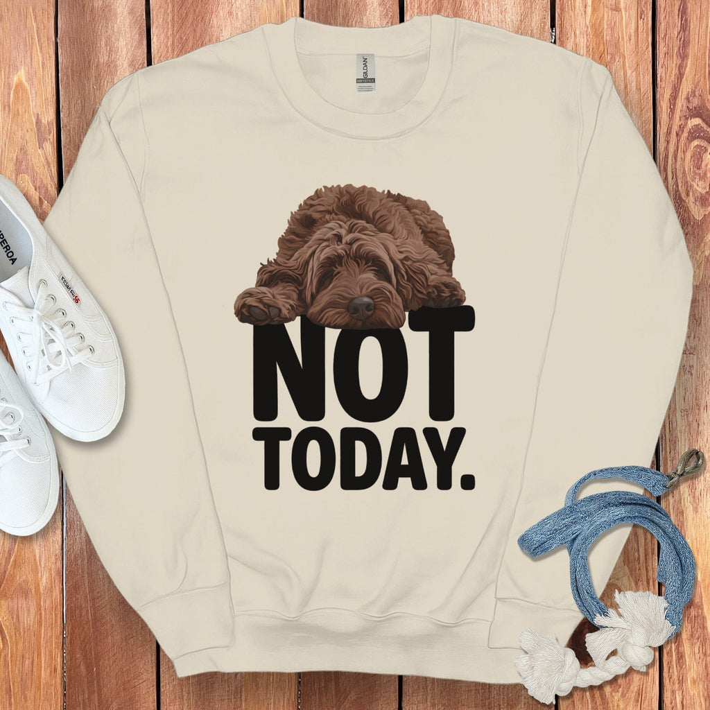 Not Today Lazy Dog Graphic Sweatshirt Casual Top