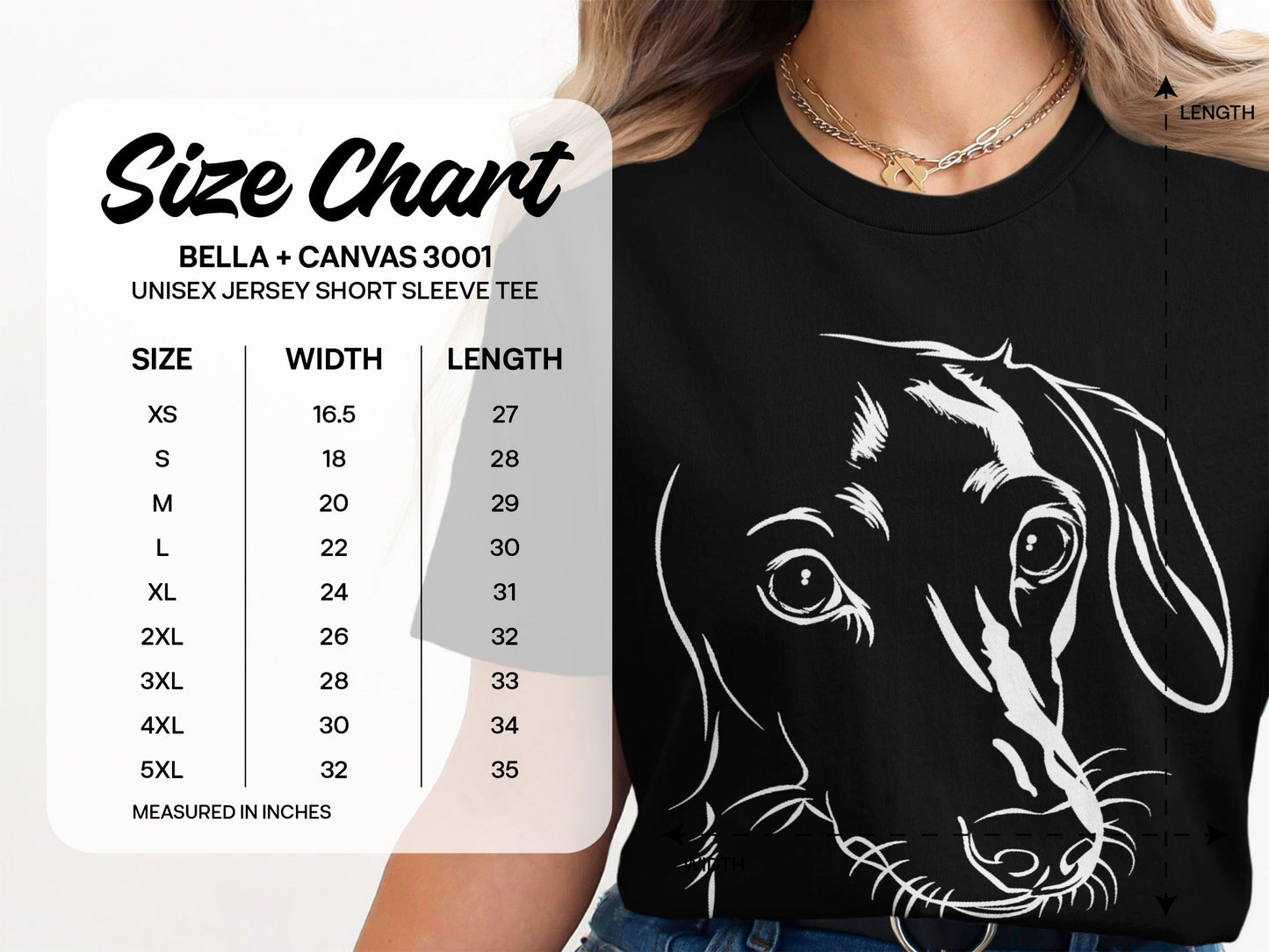 Dachshund Print Shirt Bella Canvas 3001 Product