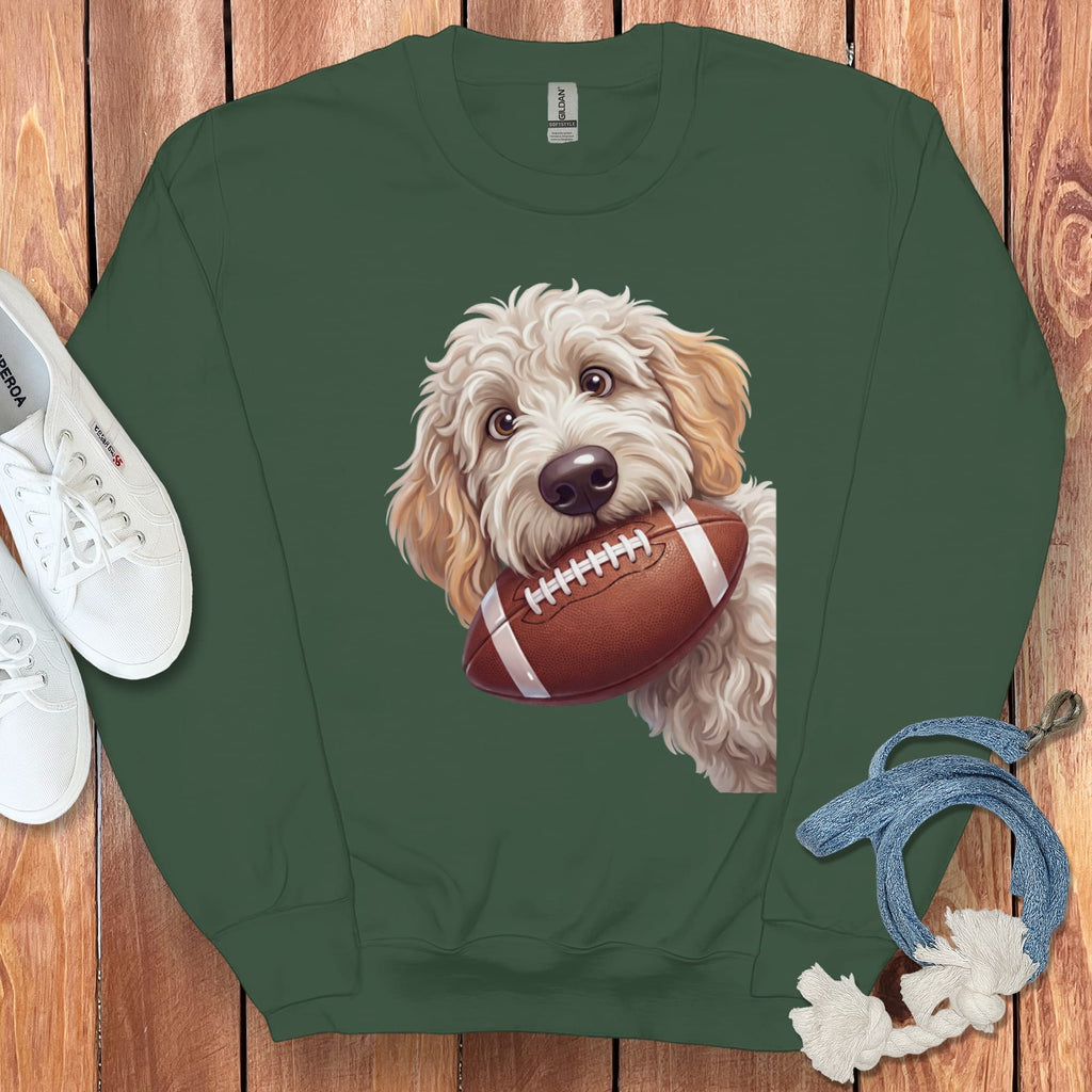 Green sweatshirt with a doodle dog holding a football graphic.