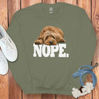 Nope Lazy Dog Graphic Long Sleeve Shirt