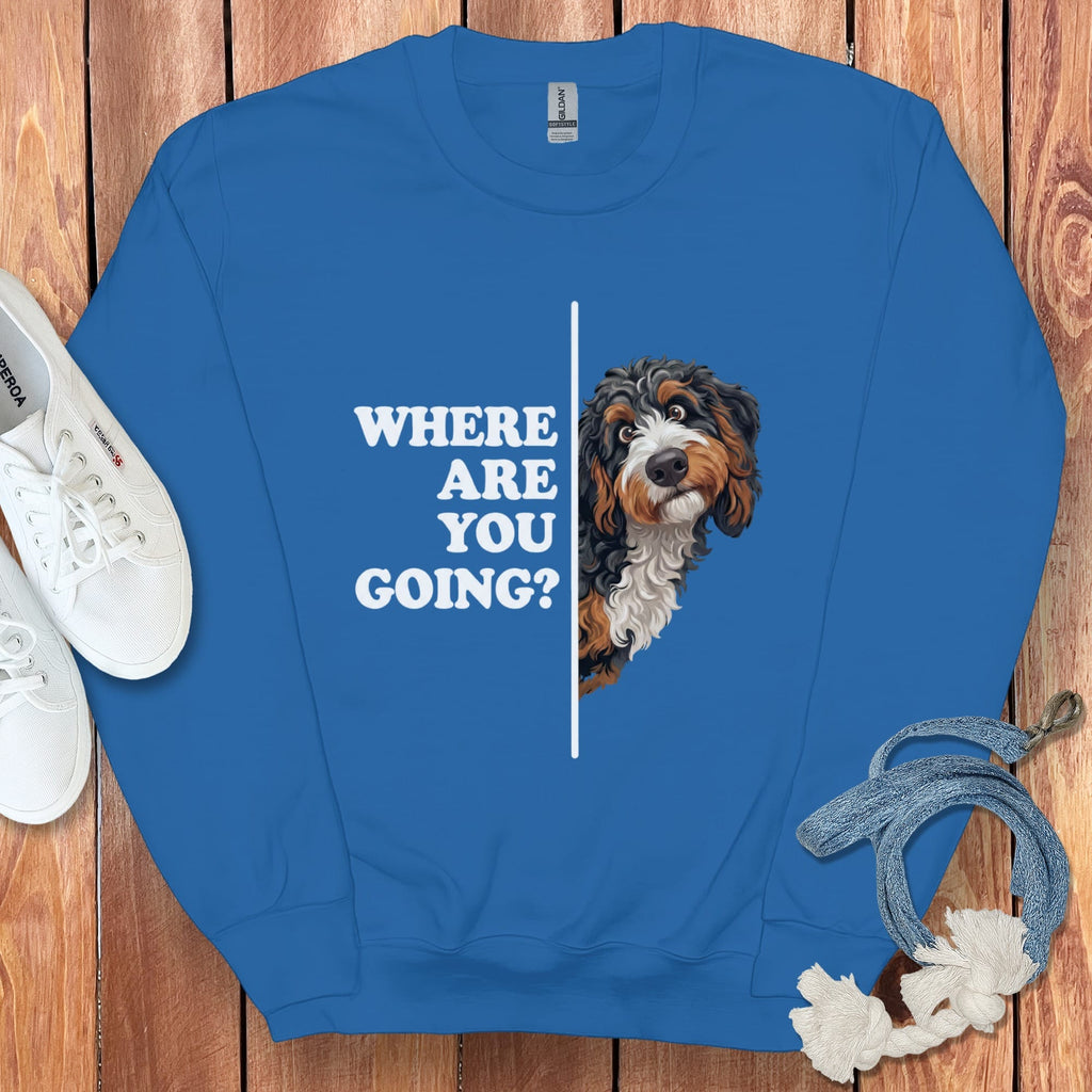 Where Going Bernedoodle Sweatshirt in Royal / S by Puppy Jo