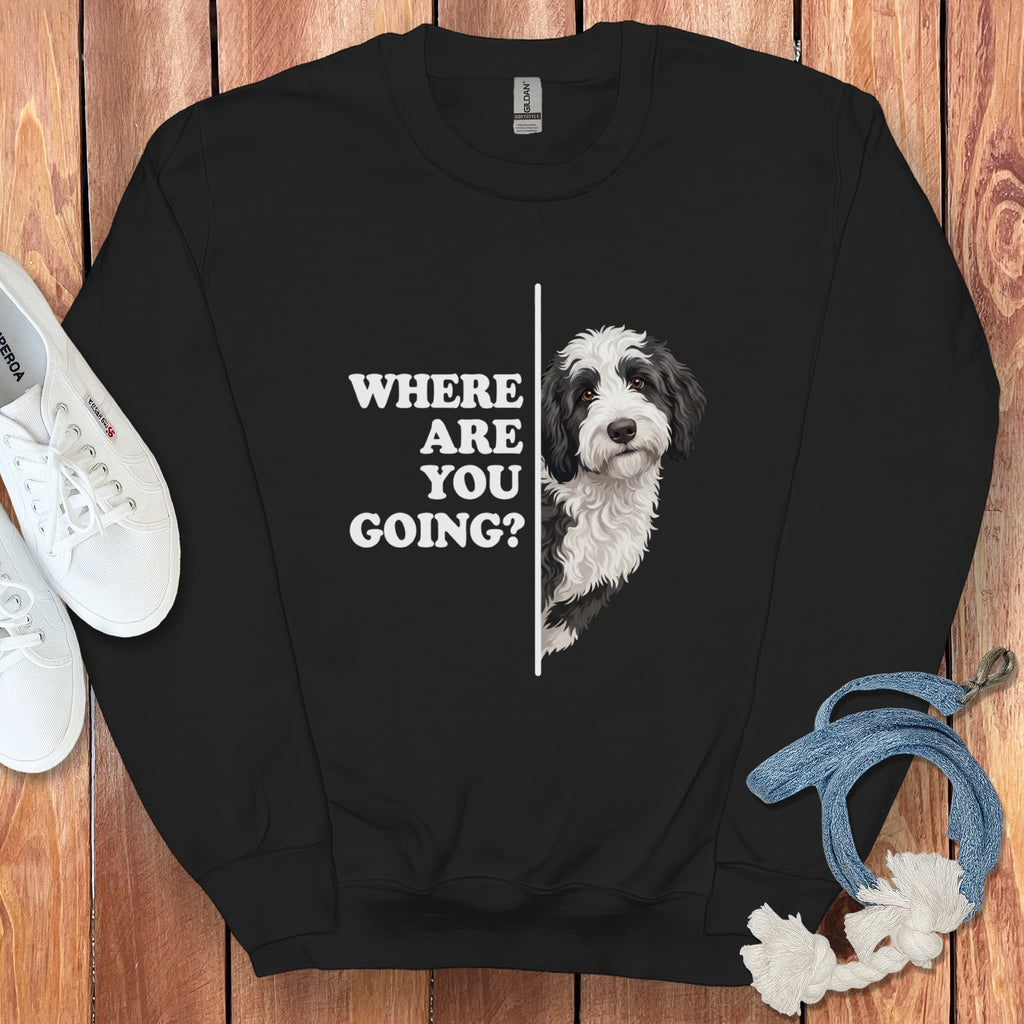 Where Going Sheepadoodle Sweatshirt in Black / S by Puppy Jo