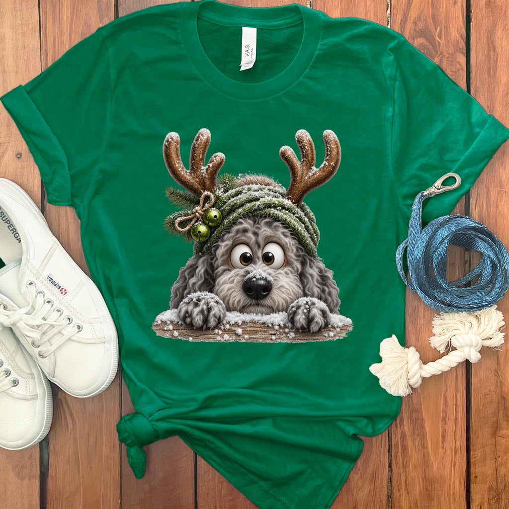 Green t-shirt featuring a cartoon dog with antlers and snow.