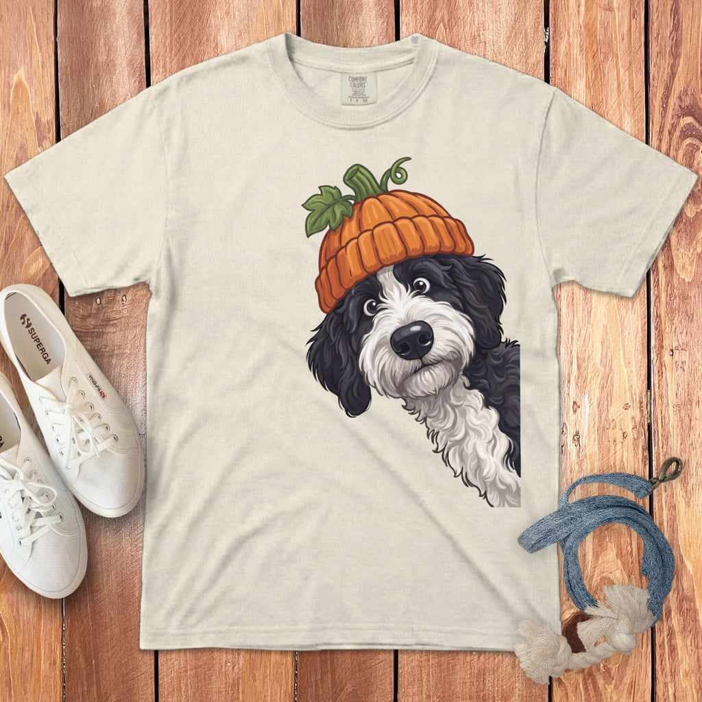 T-shirt with black and white dog wearing a pumpkin hat and white sneakers.