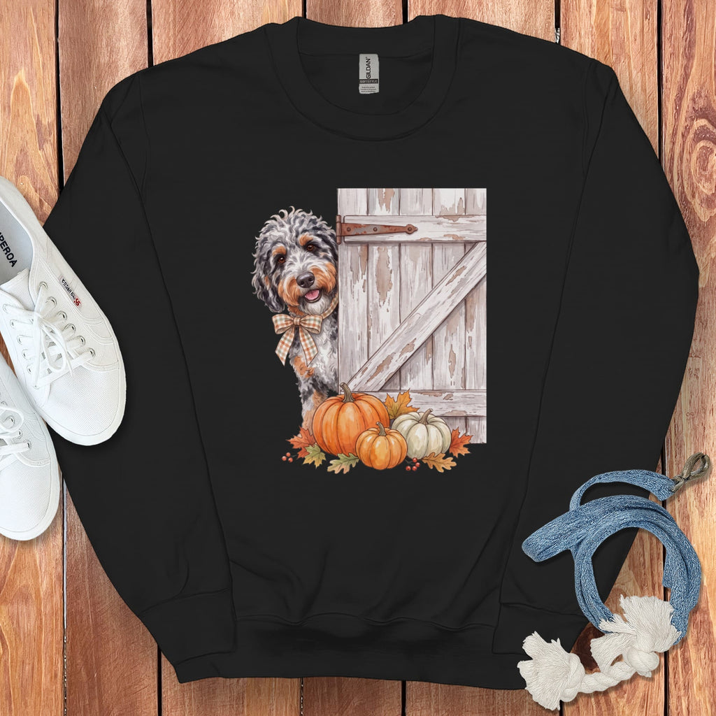 Aussiedoodle Barn Peeking Sweatshirt in Black / S by Puppy Jo