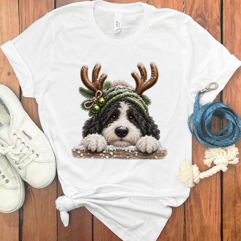 Bernedoodle puppy wearing antlers and a green beanie with bells on a white t-shirt.