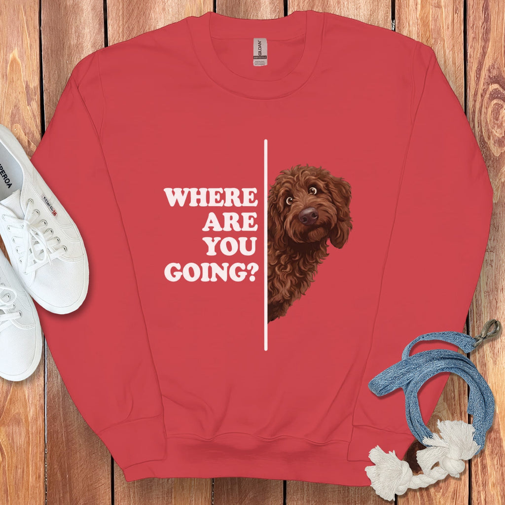 Where Going Chocolate Goldendoodle Sweatshirt in Red / S by Puppy Jo
