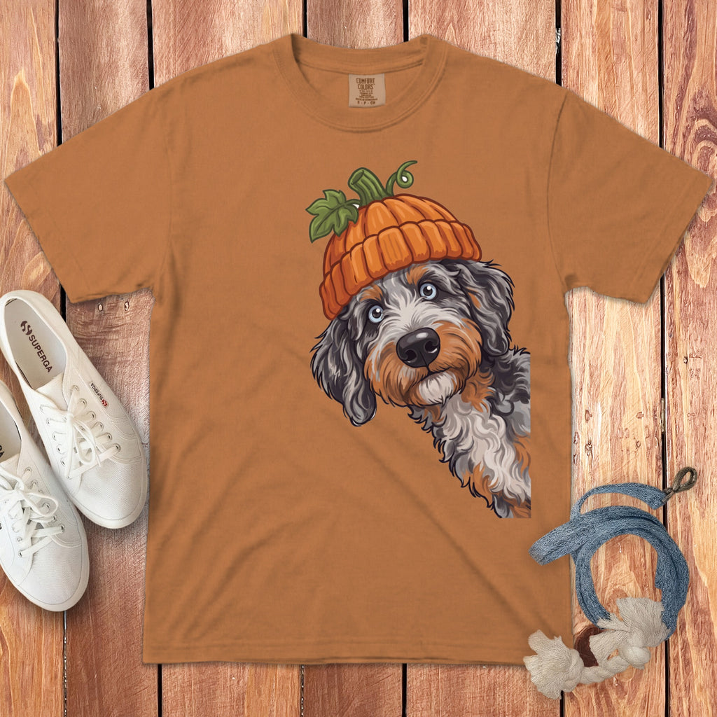 Bernese mountain dog wearing a pumpkin hat graphic on an orange t-shirt.