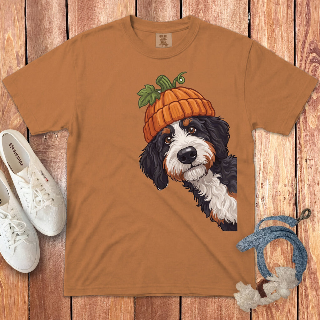 Bernese mountain dog wearing a pumpkin hat on a brown t-shirt.
