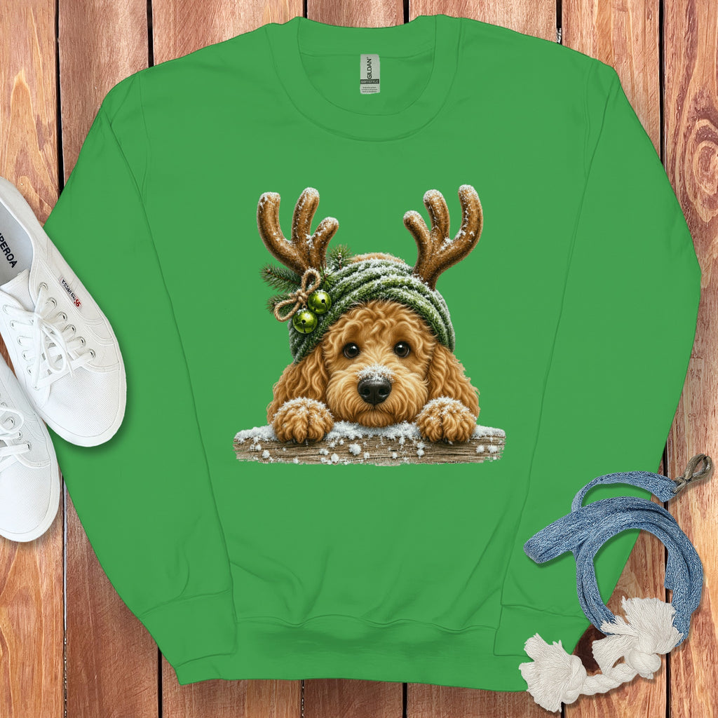 Green sweatshirt with a goldendoodle wearing reindeer antlers and a knitted hat.