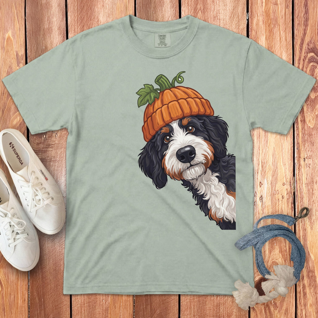 Bernese Mountain Dog wearing a pumpkin hat, light green t-shirt with wooden background.