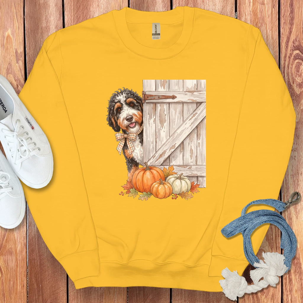 Bernedoodle Barn Peeking Sweatshirt in Gold / S by Puppy Jo