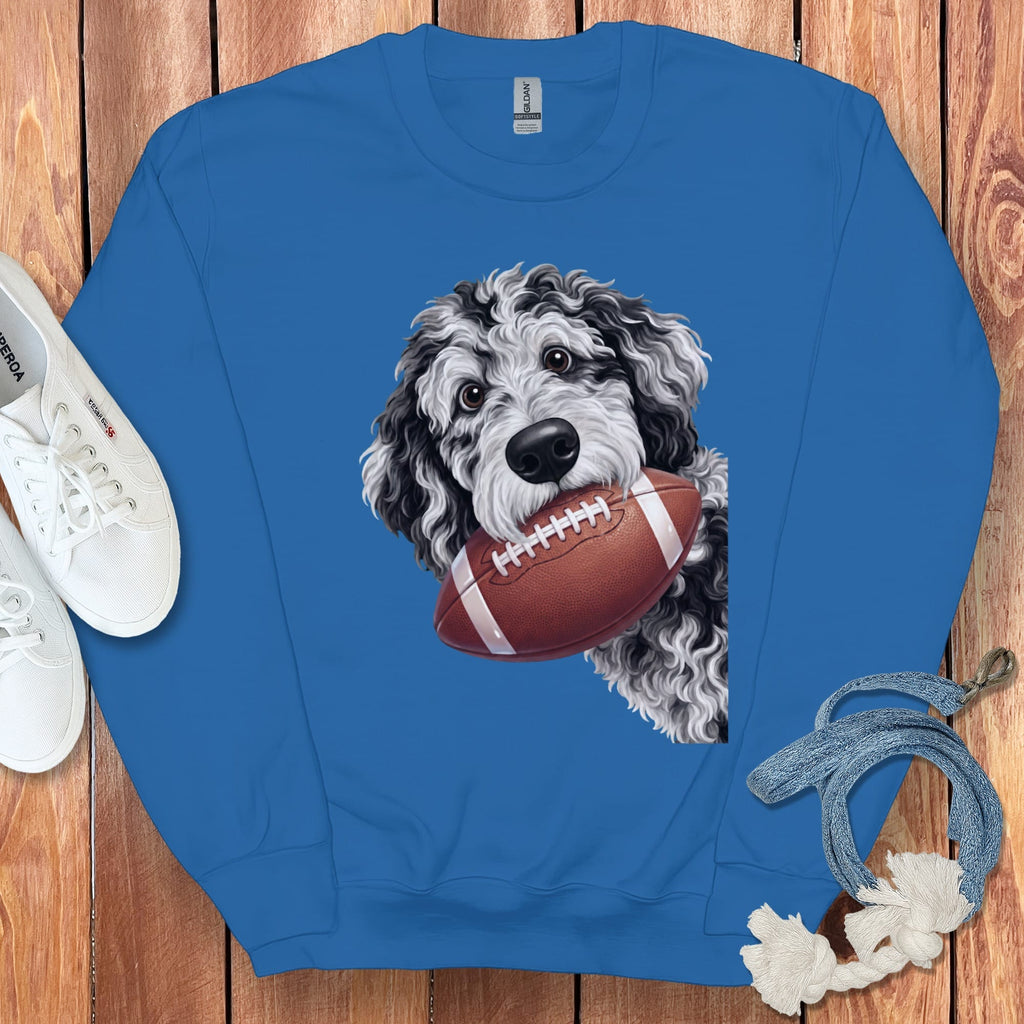 Blue sweatshirt with a doodle dog holding a football graphic.