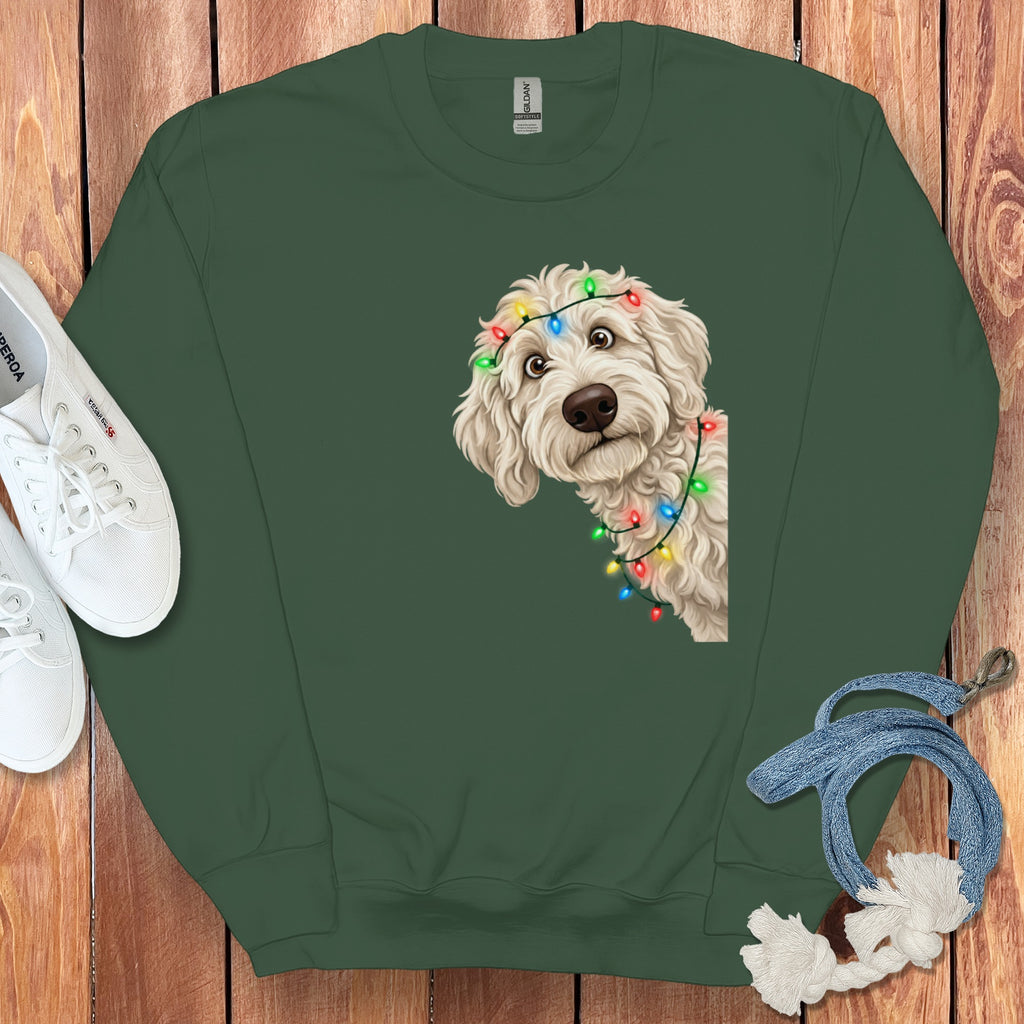 Green sweatshirt with a doodle dog wearing colorful Christmas lights.