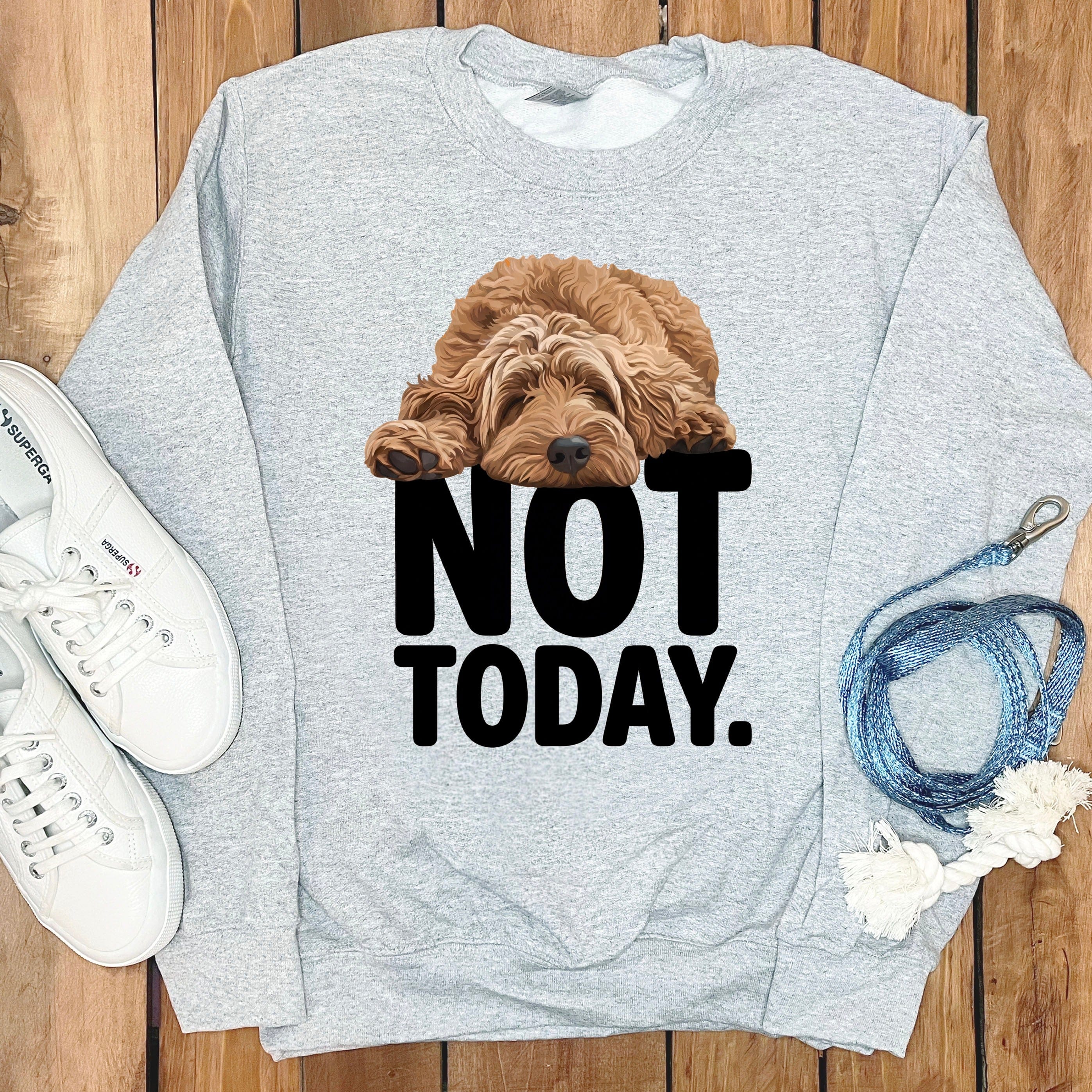 Apricot Goldendoodle Not Today Sweatshirt in Sport Grey / S by Puppy Jo