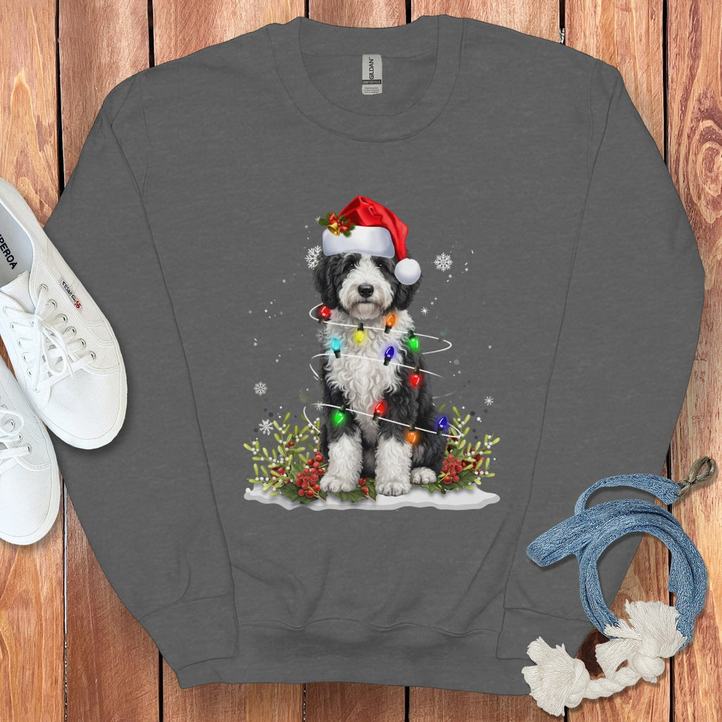Festive Dog Wearing Santa Hat and Christmas Lights Sweater