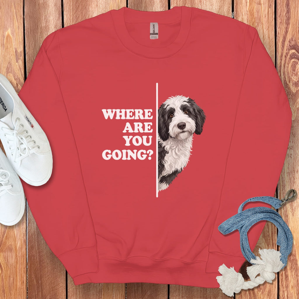 Where Going Sheepadoodle Sweatshirt in Red / S by Puppy Jo