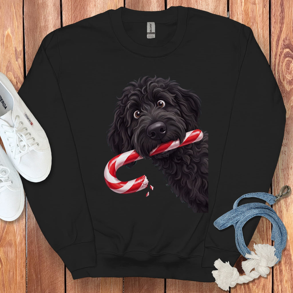 Black Goldendoodle Candy Cane Thief Sweatshirt in Black / S by Puppy Jo