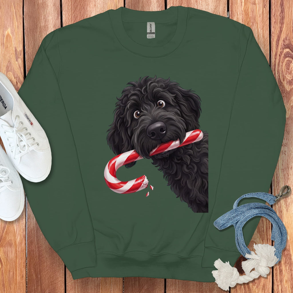 Black Goldendoodle Candy Cane Thief Sweatshirt in Forest Green / S by Puppy Jo