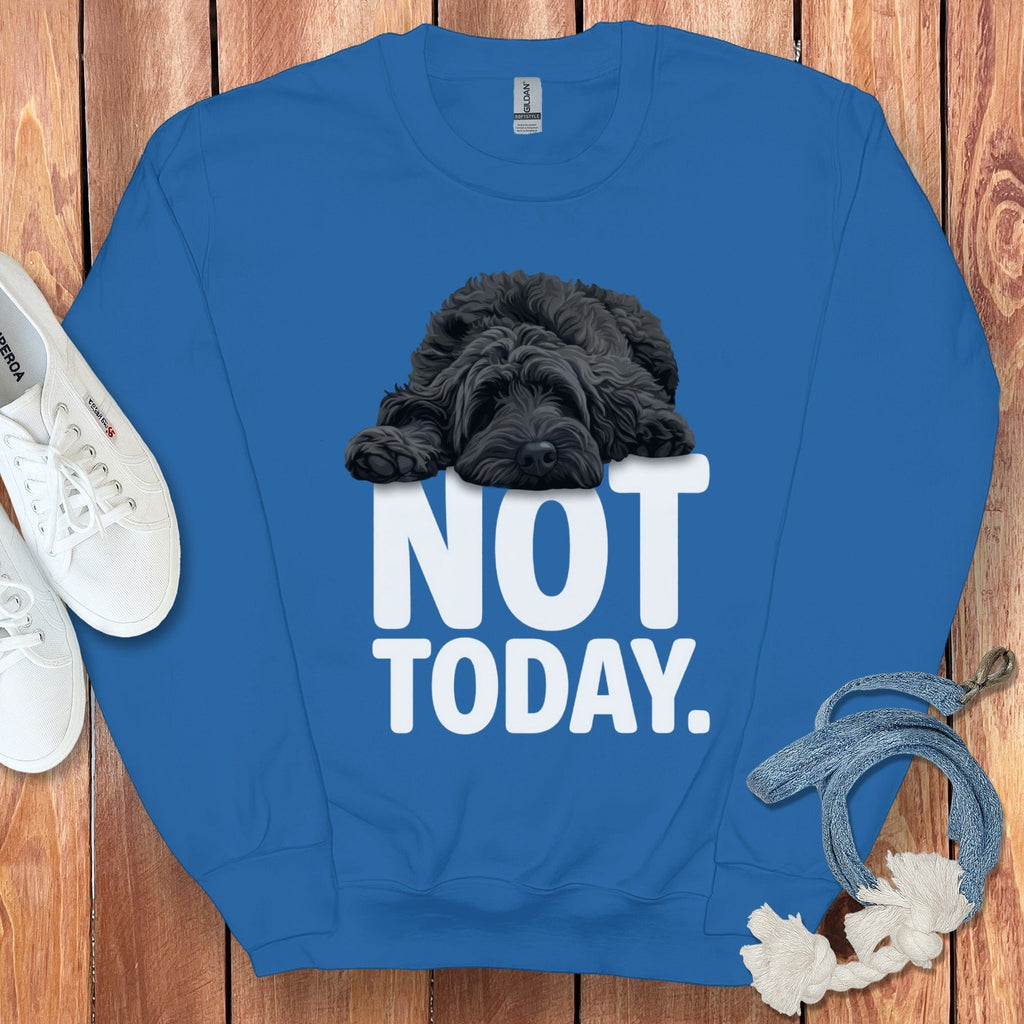 Black Goldendoodle Not Today Sweatshirt in Royal / S by Puppy Jo