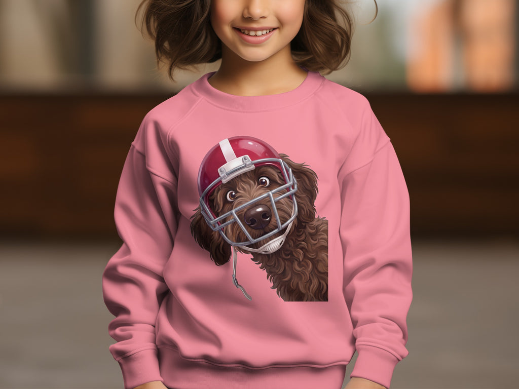 Pink sweatshirt with a doodle dog wearing a football helmet graphic.