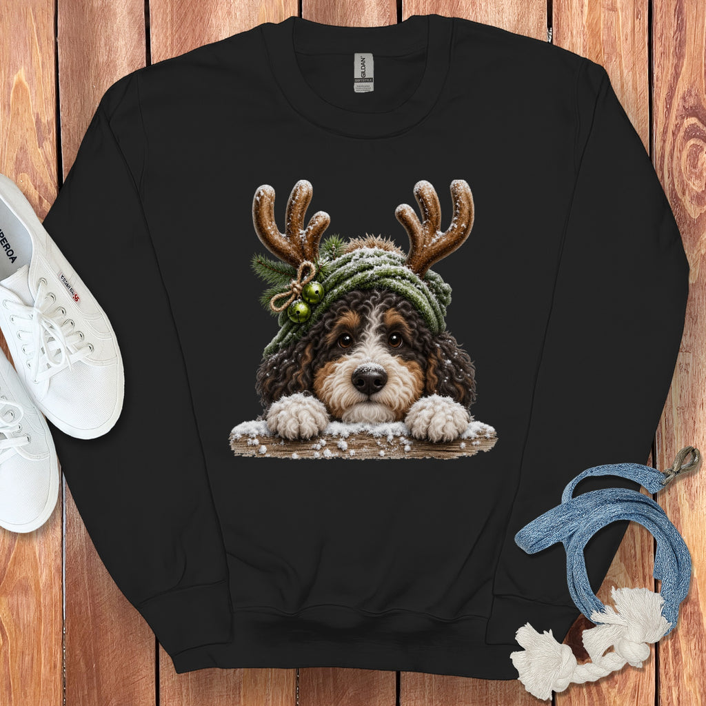 Bernese mountain dog with antlers, green beanie, and bells on a sweatshirt.