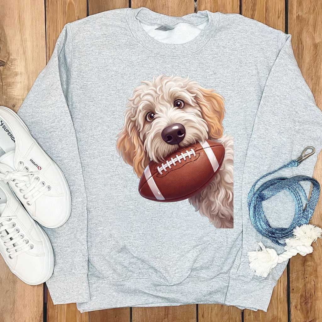 Light grey sweatshirt with a doodle dog holding a football.