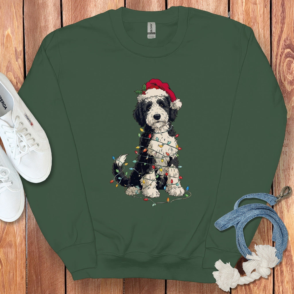 Festive Dog Wrapped in Christmas Lights Sweatshirt