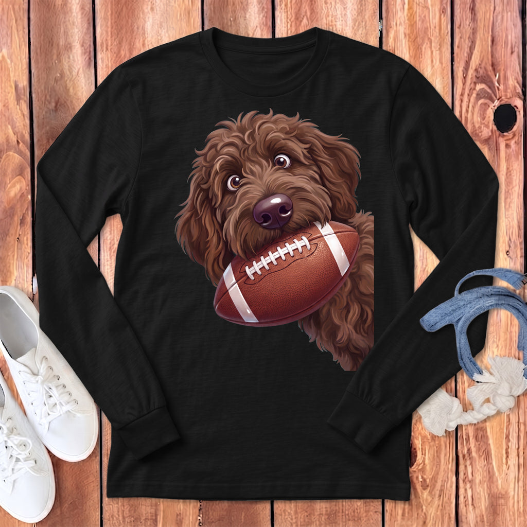 Brown doodle dog with eyes wide, holding a football in its mouth.