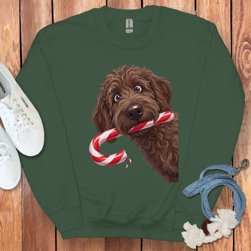 Chocolate Goldendoodle Candy Cane Thief Sweatshirt in Forest Green / S by Puppy Jo