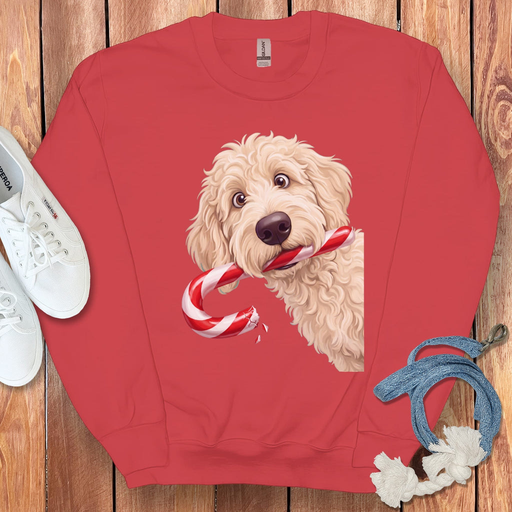 Cream Goldendoodle Candy Cane Thief Sweatshirt in Red / S by Puppy Jo