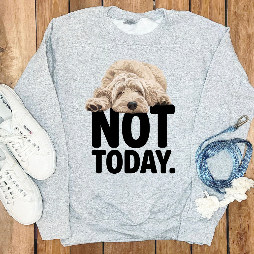 Cream Goldendoodle Not Today Sweatshirt in Sport Grey / S by Puppy Jo