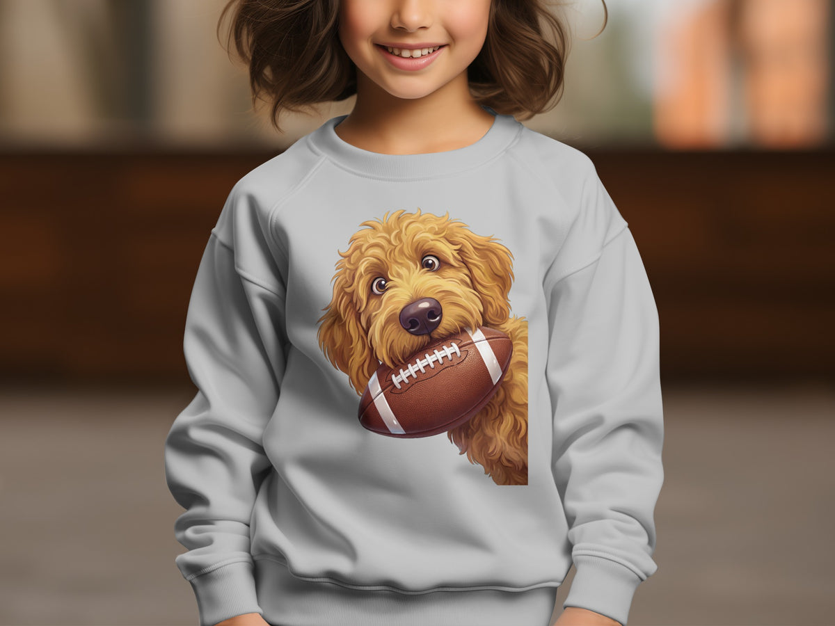Light gray sweatshirt with a doodle dog holding a football graphic.