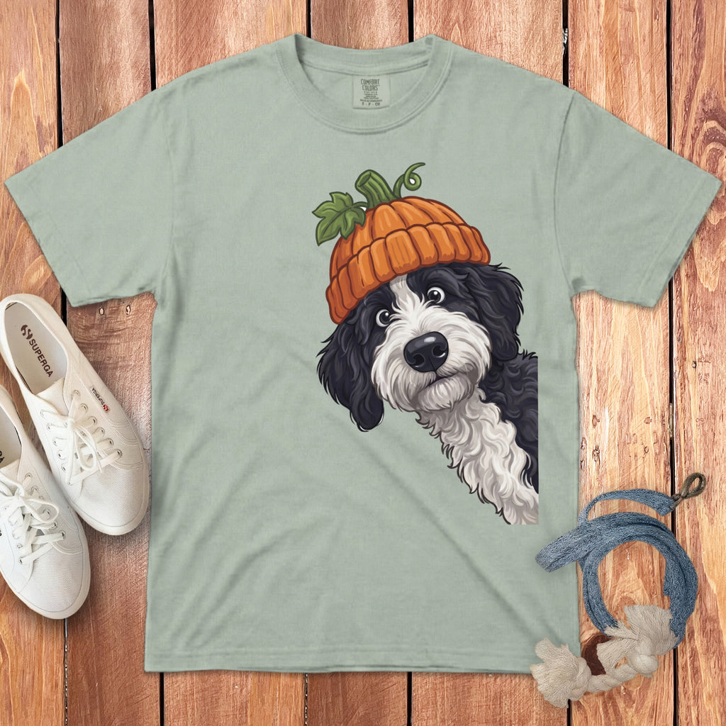 Black and white dog wearing a pumpkin hat peeks from the side.