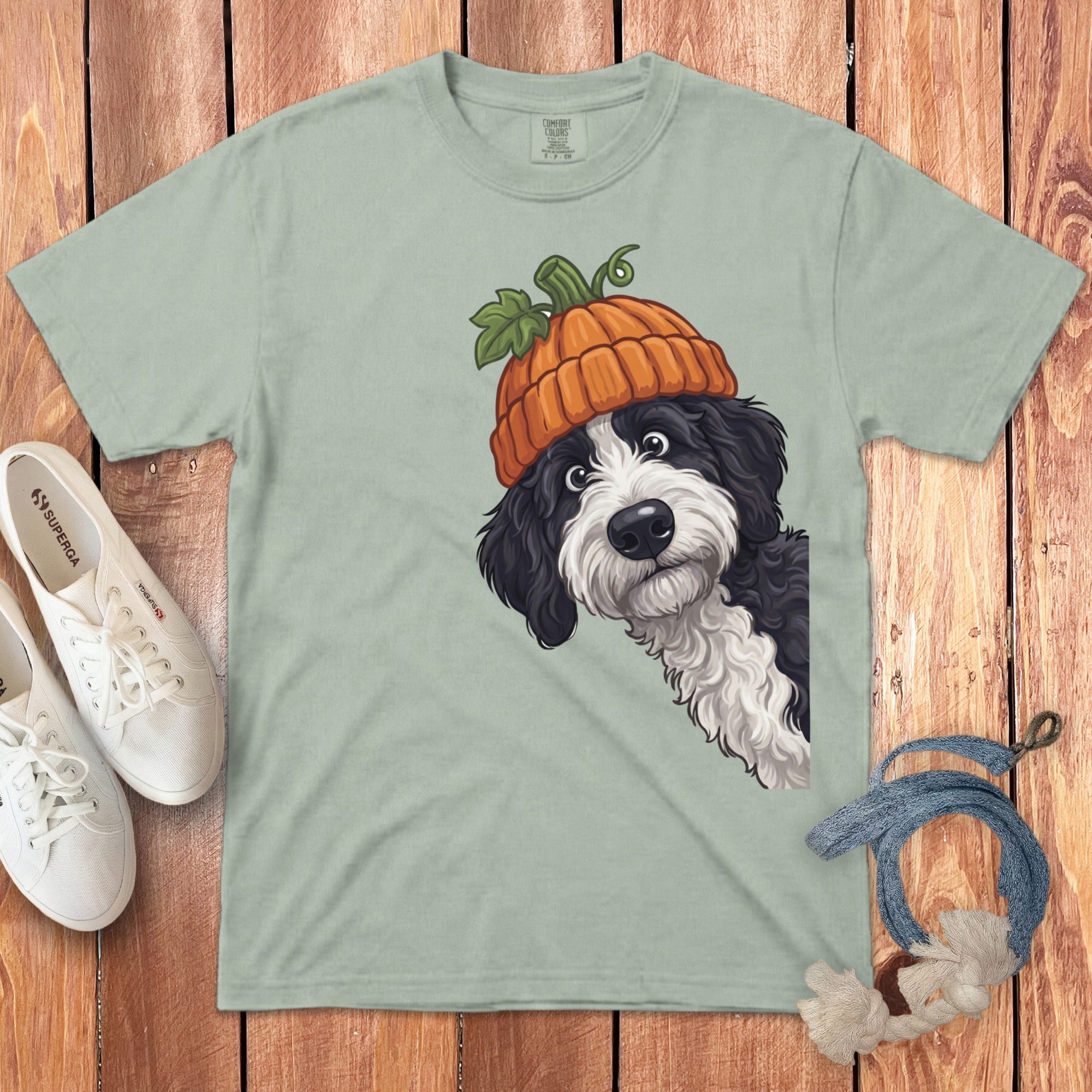 Black and white dog wearing a pumpkin hat peeks from the side.