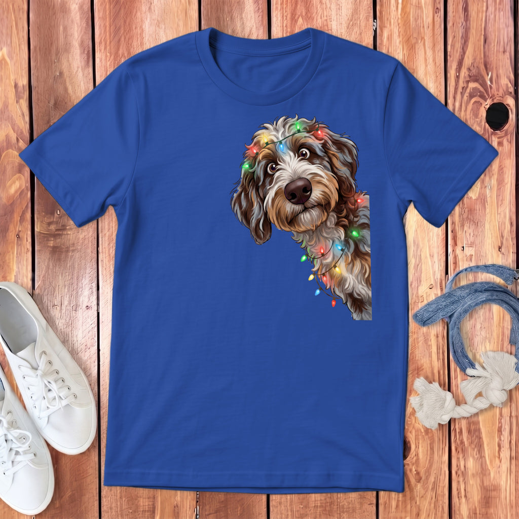 Dog with Christmas lights on blue t-shirt with white sneakers and rope.