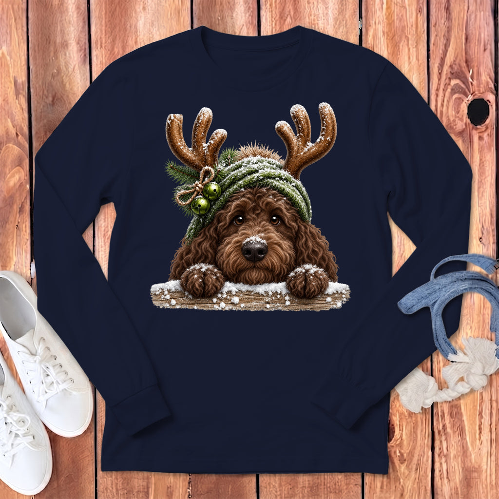 Brown dog wearing antlers and green beanie with snow on wooden planks
