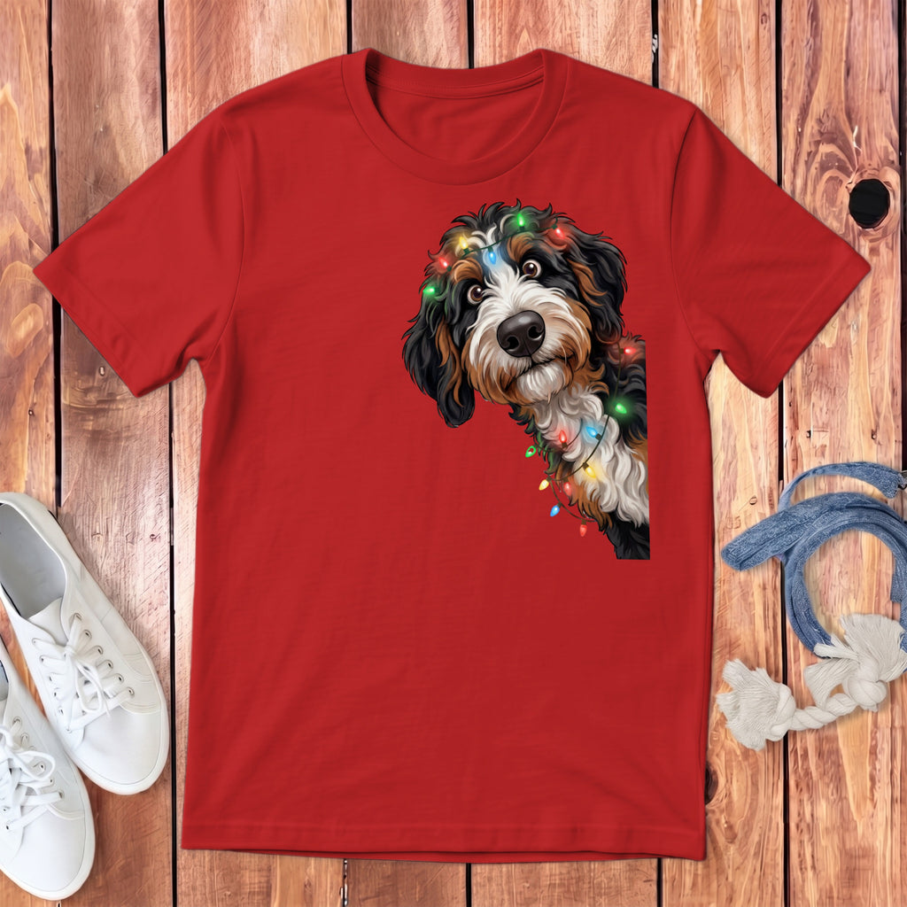 Bernese Mountain Dog with Christmas lights on red t-shirt.