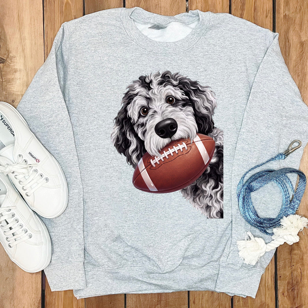 Grey sweatshirt with a doodle dog graphic holding a football.